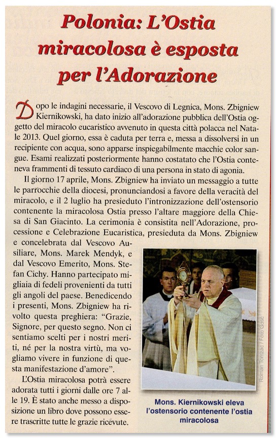 miracolo eucaristico Polonia 2013